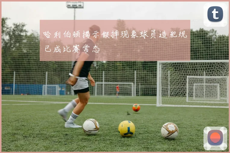 哈利伯顿揭示假摔现象球员造犯规已成比赛常态